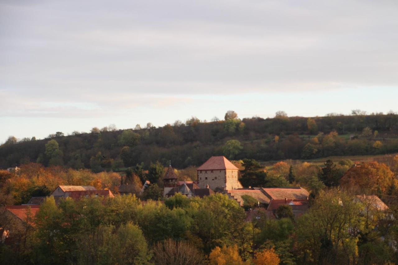 Ferienwohnung Im Schoenen Zellertal Вахенхайм-ан-дер-Вайнштрасе Экстерьер фото